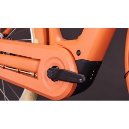 Vélo Électrique CUBE Aruba Hybrid | Style Rétro & Bosch 600Wh