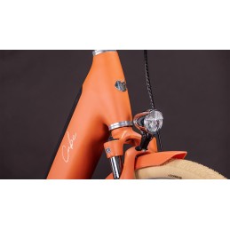 Vélo Électrique CUBE Aruba Hybrid | Style Rétro & Bosch 600Wh