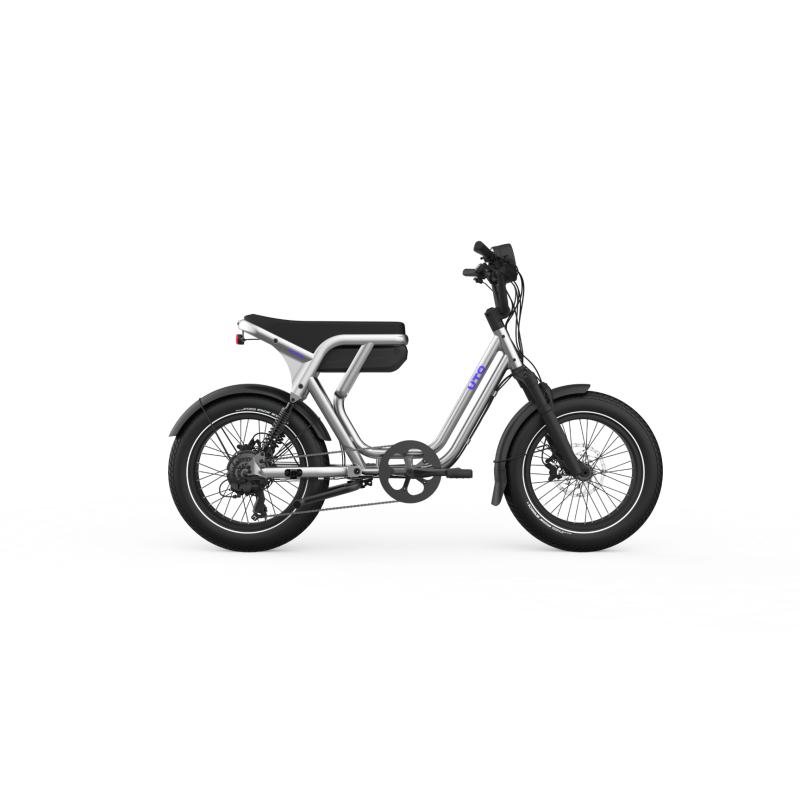 Vélo cargo électrique bi-place OG200 de couleur Gris graphite
 - Vue de profil