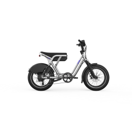 Vélo Cargo Électrique Bi-Place OG200 | Utobikes