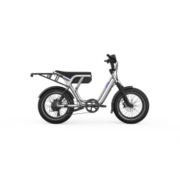 Vélo Cargo Électrique Bi-Place OG200 | Utobikes