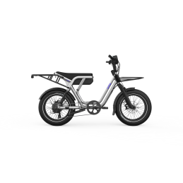 Vélo Cargo Électrique Bi-Place OG200 | Utobikes