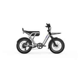 Vélo Cargo Électrique Bi-Place OG200 | Utobikes