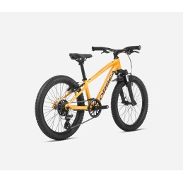 Orbea MX 20 - Vélo Enfant 20 Pouces.