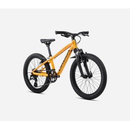 Orbea MX 20 - Vélo Enfant 20 Pouces.