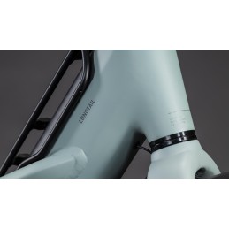 CUBE Longtail Hybrid Comfort | Vélo Cargo Bosch 800Wh 200kg